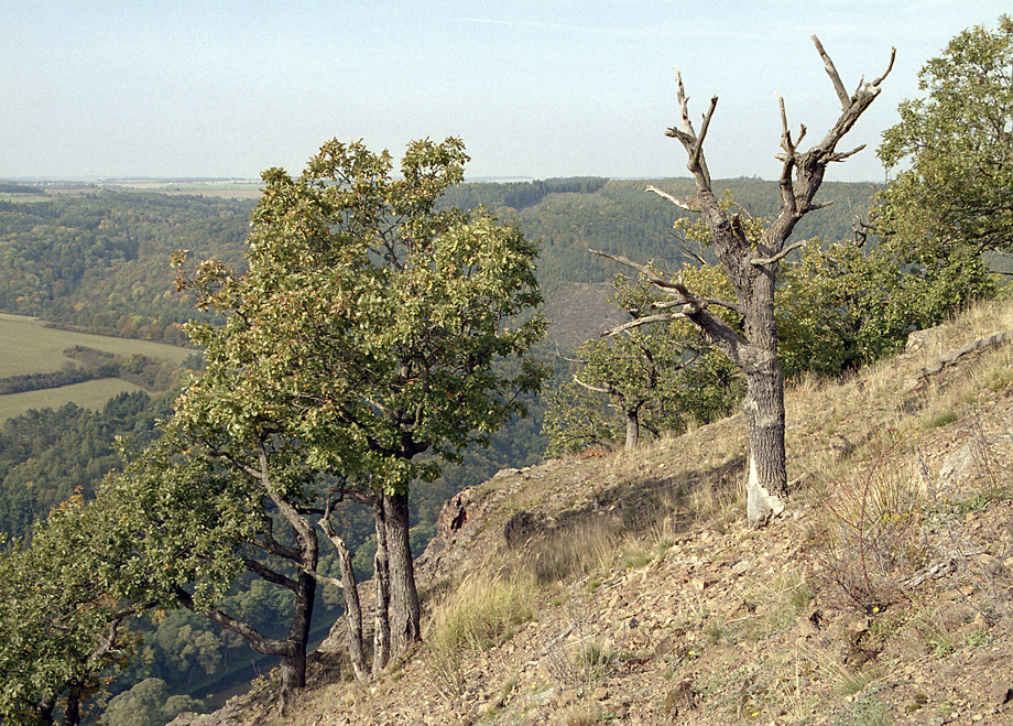 On the "Tovice Rock" - larger format