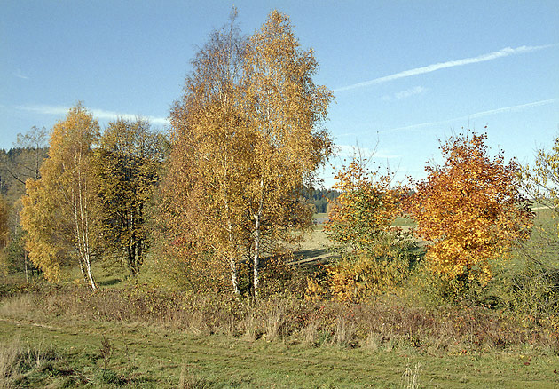 Autumn at the pond - smaller format