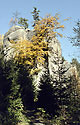 Autumn in the gorge - main link