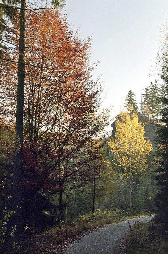 Podzimn rno na Pnov cest - vt formt