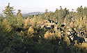"Hjek Gorge" - main link