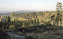 View to "Osta" - main link