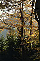 Autumn in rocks - main link