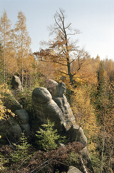 Podzim ve skalách - menší formát