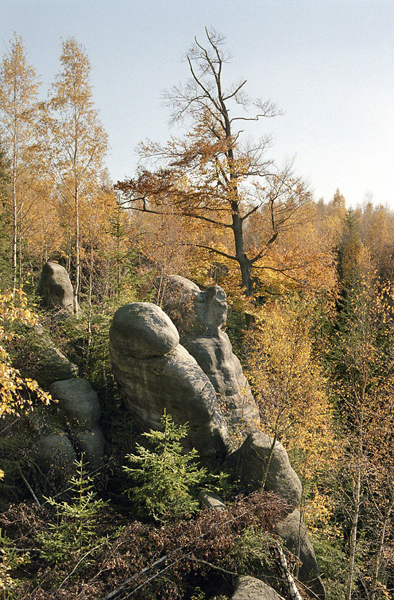 Podzim ve skalách - větší formát