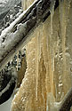Icefall - main link