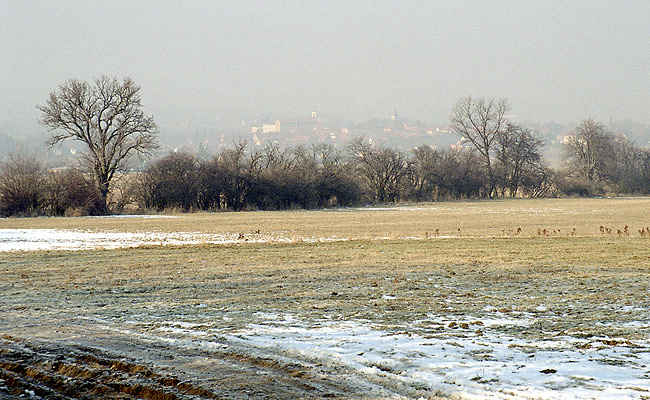 Foggy "Hostomice" - smaller format