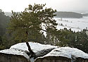 Na Juliin vyhldce - hlavn odkaz