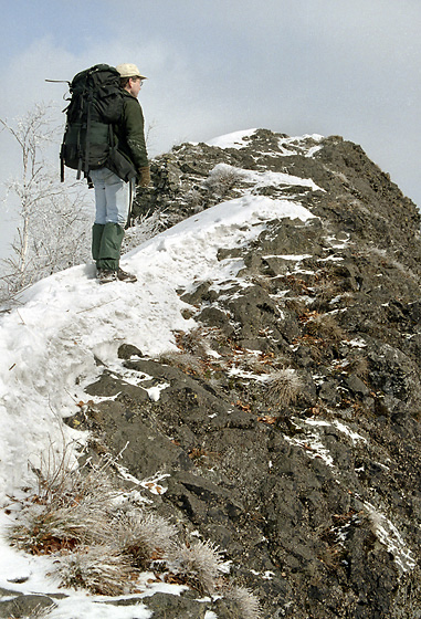 Top ridge - smaller format