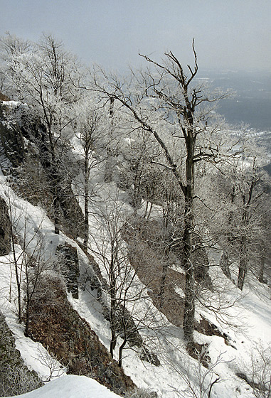 Southern precipice - smaller format