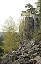"Henrys Rock" - main link