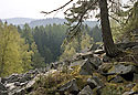 "Henrys Rock" - main link