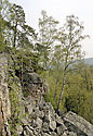 "Henrys Rock" - main link
