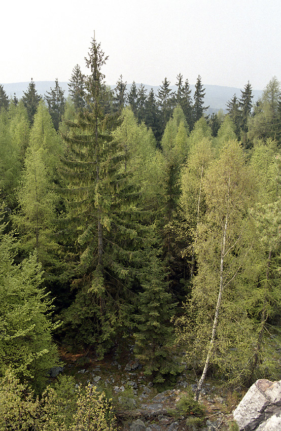 Pod sklou na Beranu - vt formt