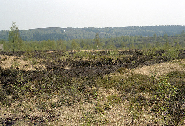 Jordnsk dopadovka - men formt