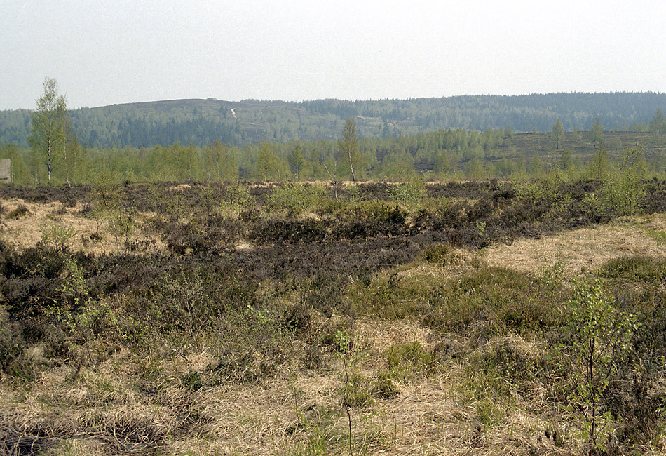 Jordnsk dopadovka - vt formt