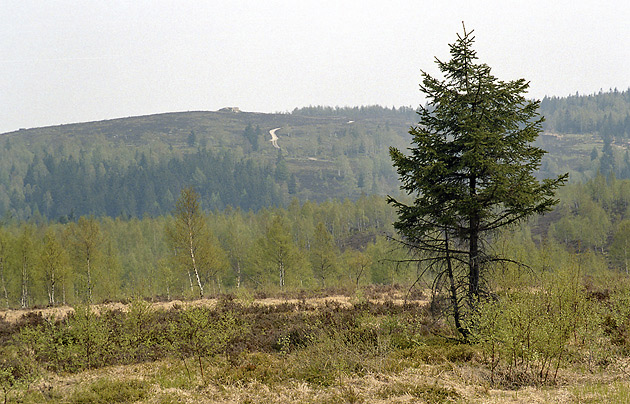 Jordnsk dopadovka - men formt