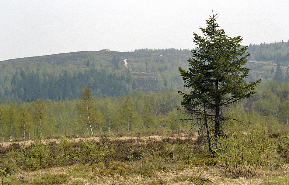 Jordnsk dopadovka - vt formt