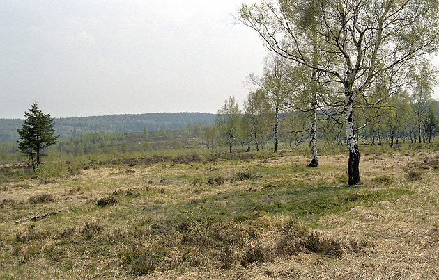 Jordnsk dopadovka - men formt