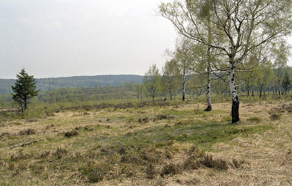 Jordnsk dopadovka - vt formt