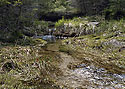 Creek - main link