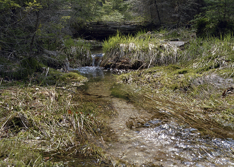 Creek - larger format