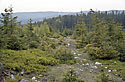 View from "Paterk" - main link