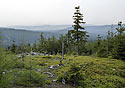 View from "Paterk" - main link