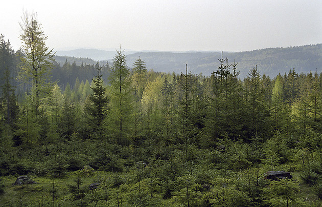 View from "Paterk" - smaller format