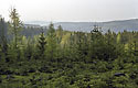 View from "Paterk" - main link