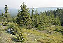 View from "Paterk" - main link