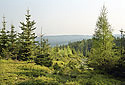 View from "Paterk" - main link