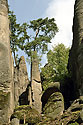 In the "Sand Gorge" - main link