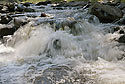 Rapids - main link