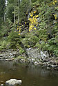 Coloured rock - main link