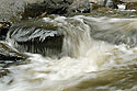 Rapids - main link
