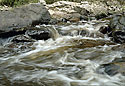 Rapids - main link