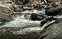 Rapids - main link
