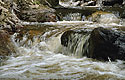Rapids - main link