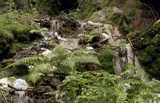 Proud creek - smaller format