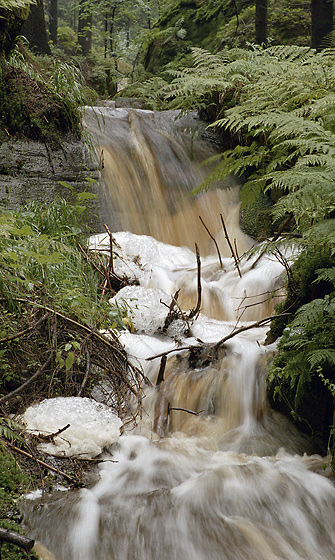 Cascade - smaller format