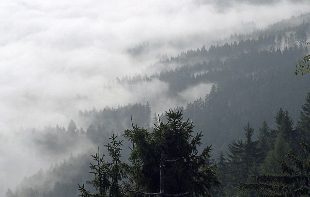 Fog breakers - smaller format