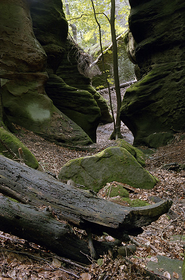 In the "Rough Gorge" - smaller format