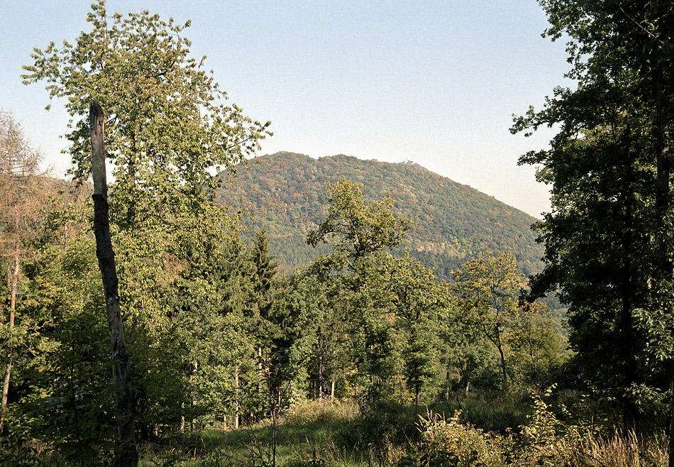 Mileovsk Kloc - vt formt