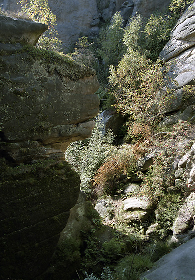 In the "Sand Gorge" - smaller format