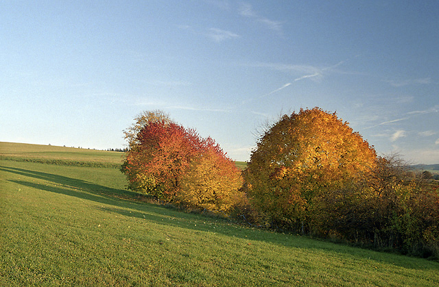 Podzim nad sadem - menší formát