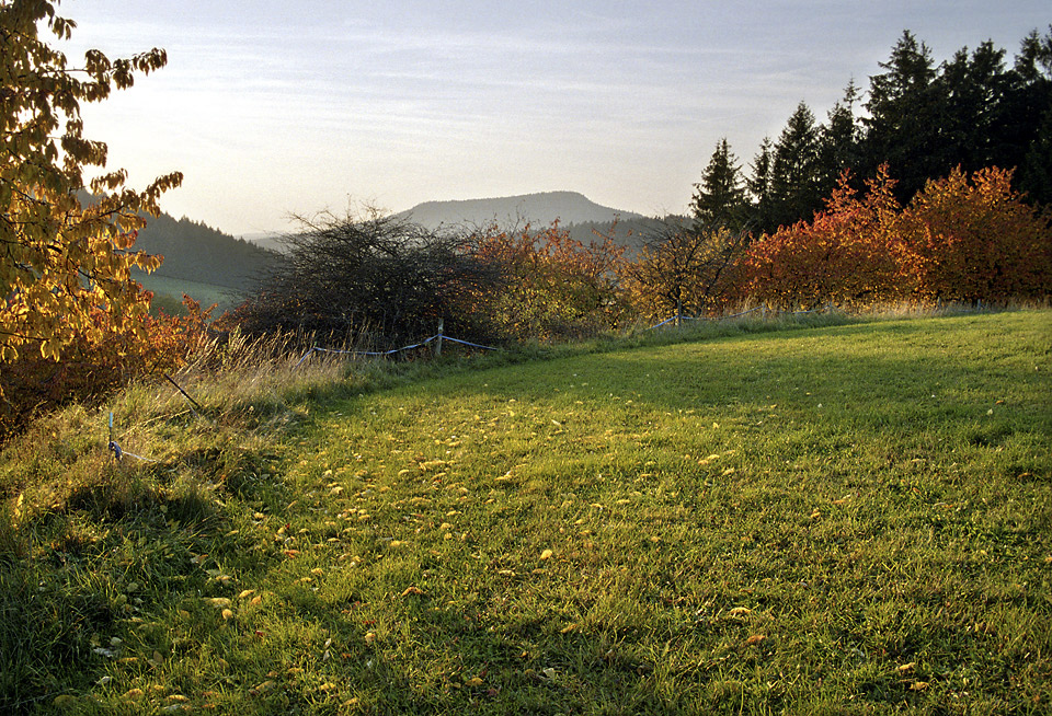 Autumn - larger format