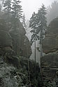 In the "Sand Gorge" - main link