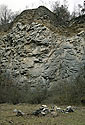 Thurst (fault) - main link