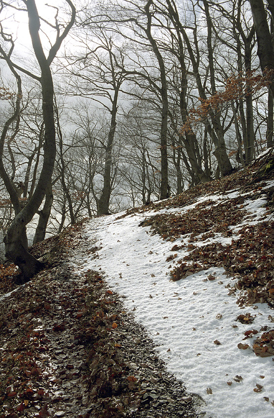 On the "Little Bezdz" - larger format